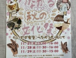 ウォルドルフ人形展 in 山梨県　2025.11.27(木)～29(土)